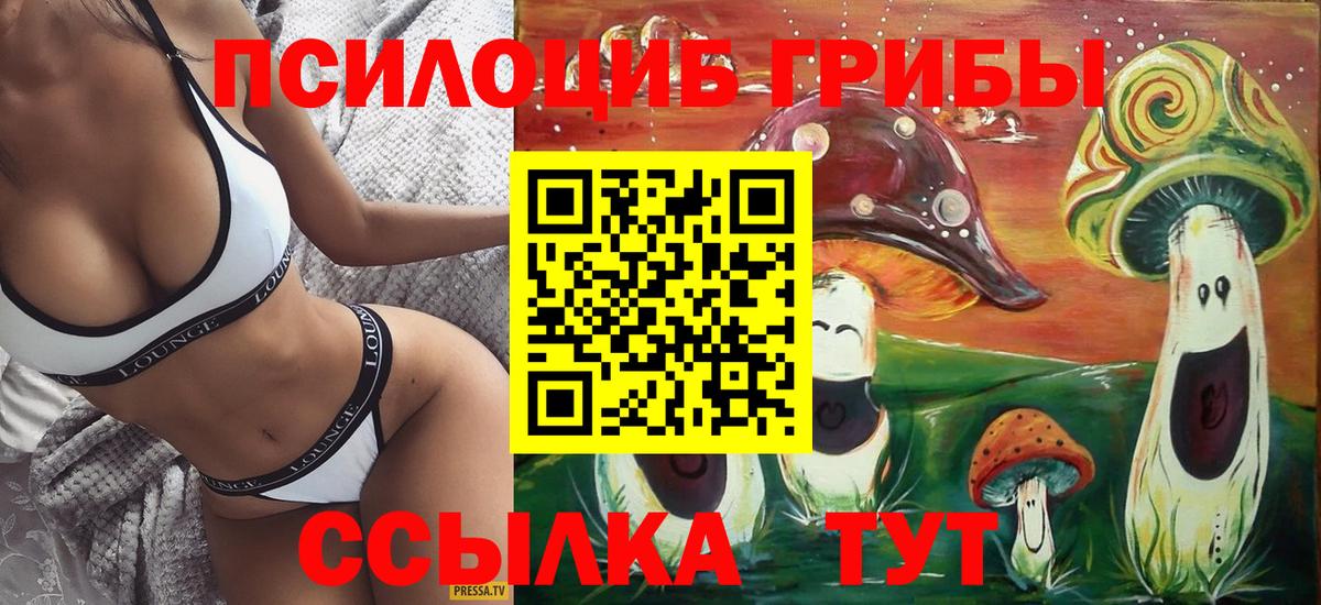 Галлюциногенные грибы Cubensis  наркотики  Альметьевск  Вход с VPN 